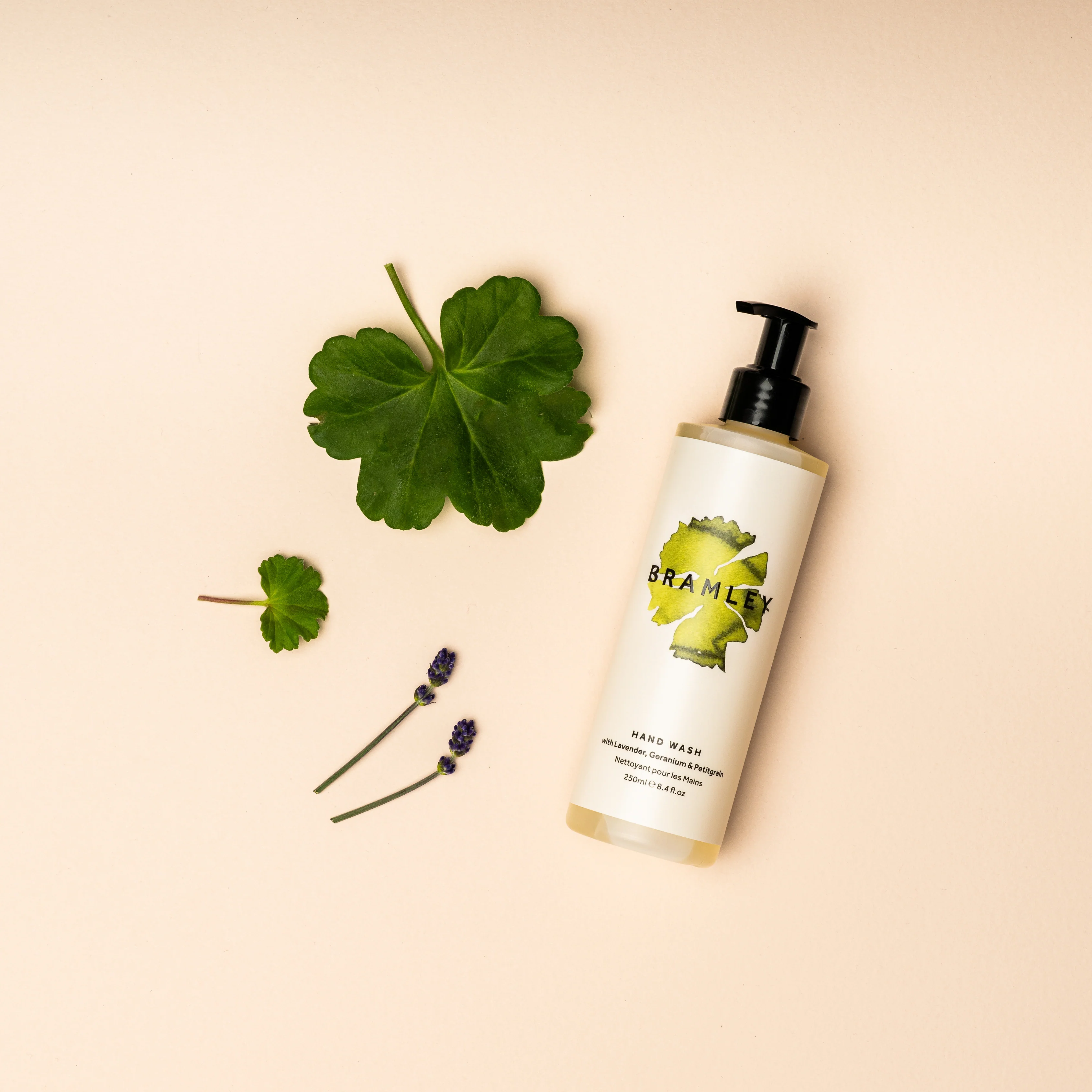 Hand Wash - Image 7