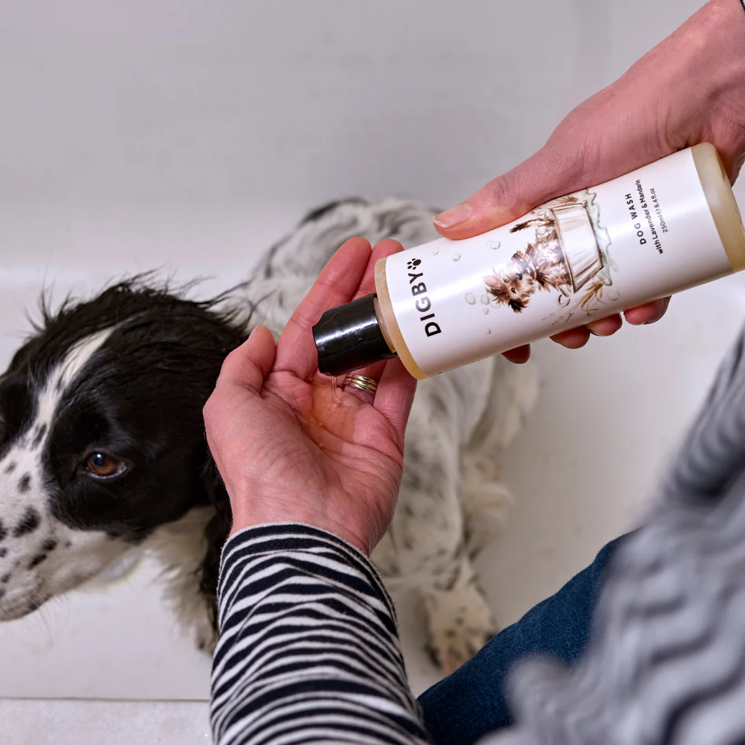 Digby Dog Wash - Image 6