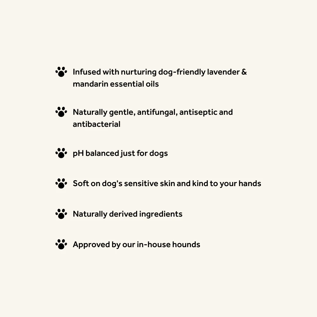 Digby Dog Wash Compostable Refill Pouch - Image 3