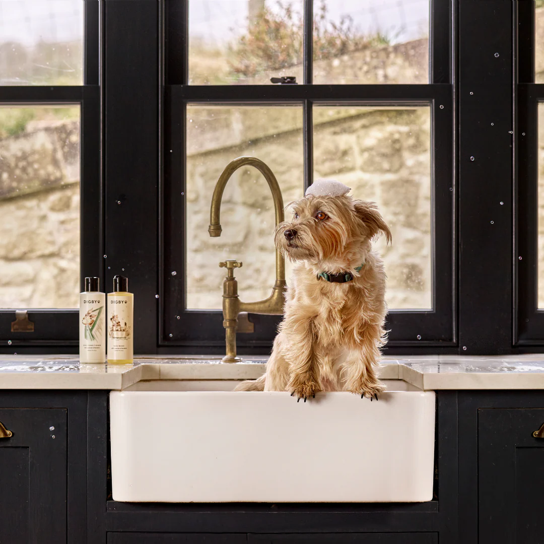Digby Dog Bathtime Duo - Image 2