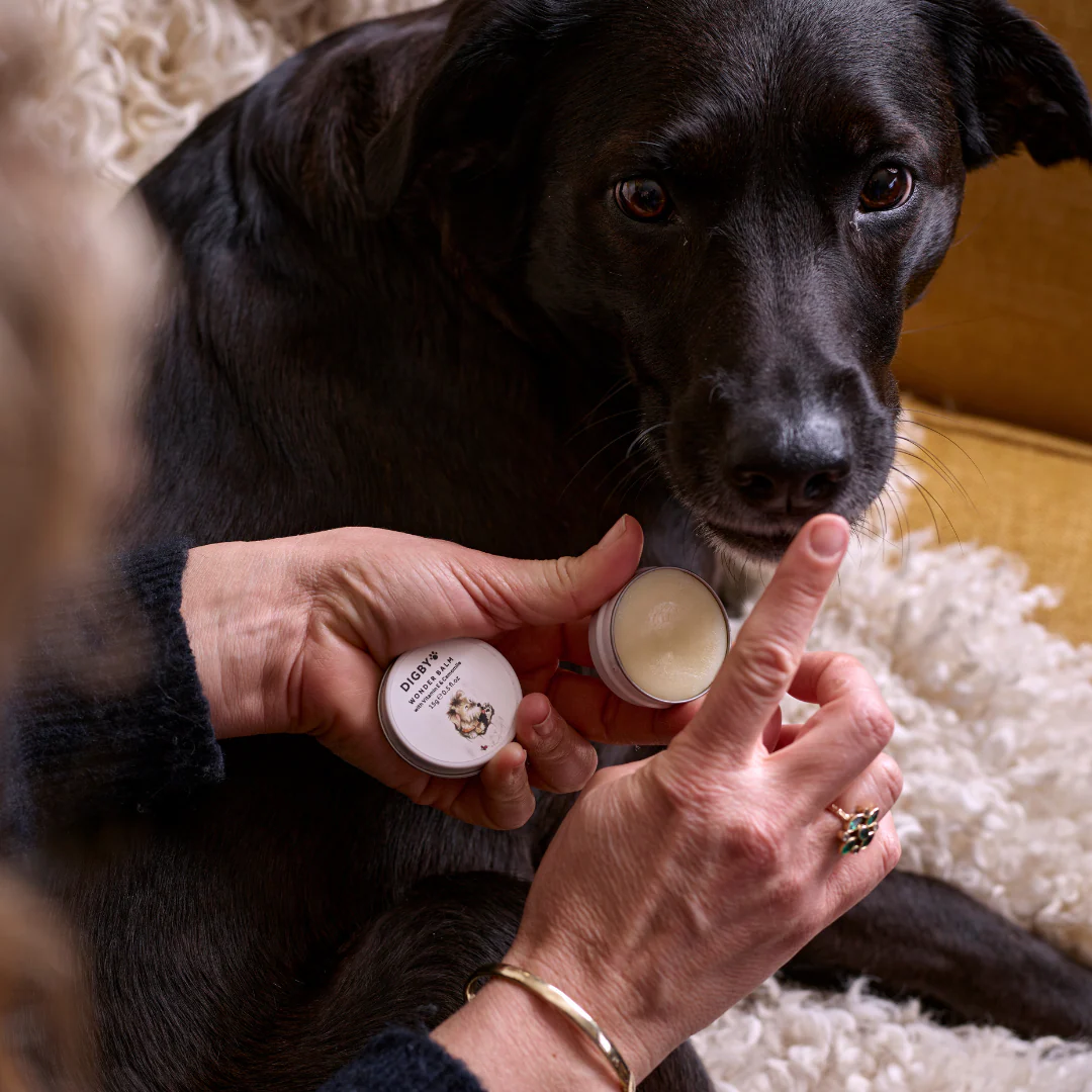 Digby Wonder Balm - Image 2