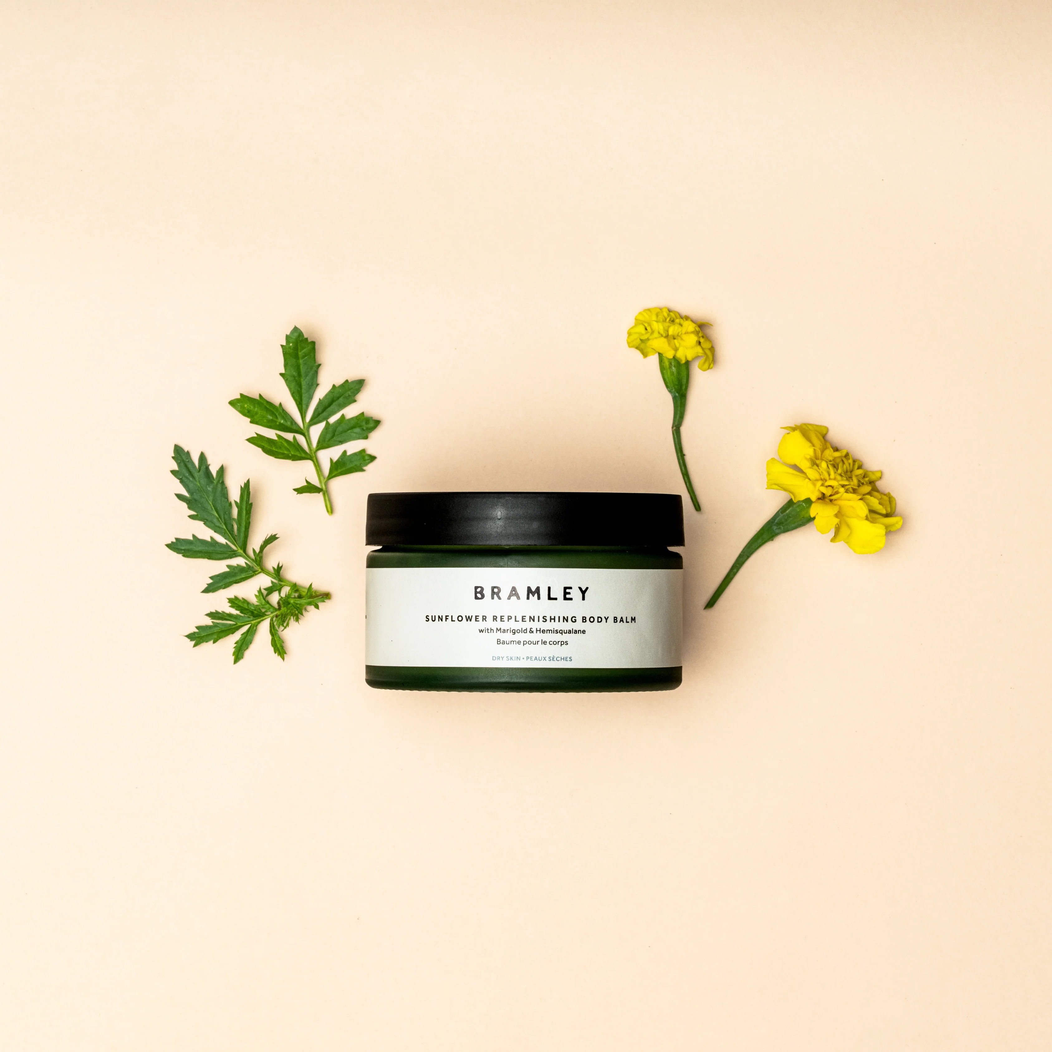 Sunflower Replenishing Body Balm - Image 8